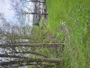 Vanzare teren intravilan zona superba Breaza - imagine 9