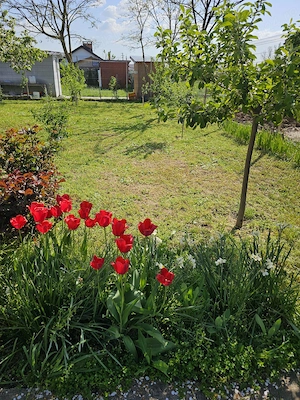 Vila P+E, 18 Km de Bucuresti-Adunatii Copaceni - imagine 9