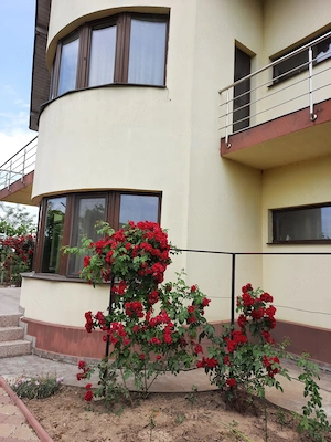 Vila P+E, 18 Km de Bucuresti-Adunatii Copaceni - imagine 7