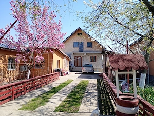 Vând 2 corpuri de casa în aceeași curte