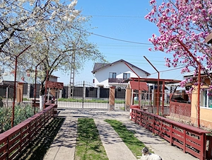 Vând 2 corpuri de casa în aceeași curte - imagine 2