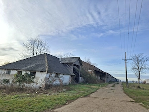 De vanzare 1 ha teren intravilan cu 2 grajduri acoperite cu tigla - imagine 2