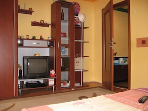 De închiriat apartament cu o cameră în zona Dâmbovița  - imagine 2