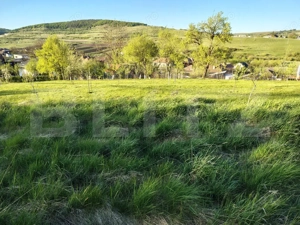 Casă individuală în zonă pitorească, cu 3271 mp teren, Vâlcele-Feleacu - imagine 20