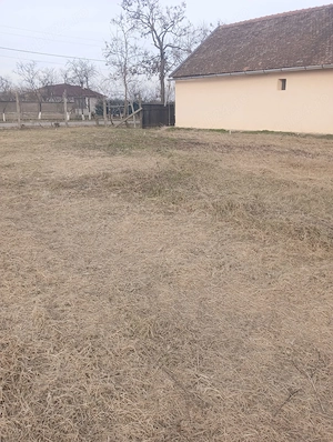 Loc de casă la 20 km de Oradea  - imagine 3