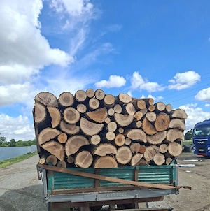 vând lemne de foc esență tare cer,fag,carpen,stejar cantitate garantata  transport gratuit  lemnele 