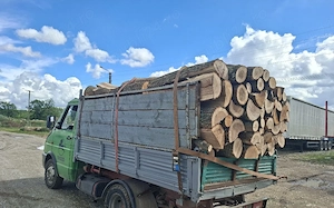 vând lemne de foc esență tare cer,fag,carpen,stejar cantitate garantata  transport gratuit  lemnele 