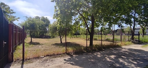 Vanzare teren intravilan 487 mp - Mogosoaia  - imagine 10