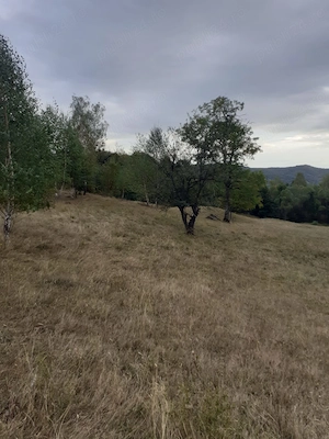 Vand teren extravilan Valea Doftanei, zona Crăițe în suprafață de 3.899 mp - imagine 2