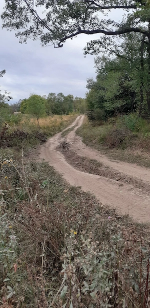 Vand teren extravilan Valea Doftanei, zona Crăițe în suprafață de 3.899 mp - imagine 5