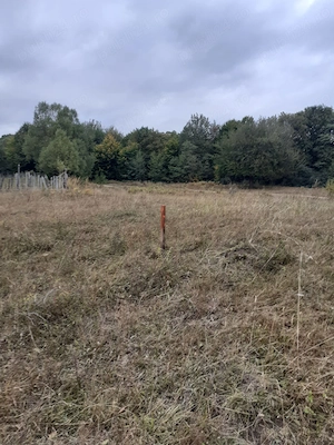 Vand teren extravilan Valea Doftanei, zona Crăițe în suprafață de 3.899 mp - imagine 3