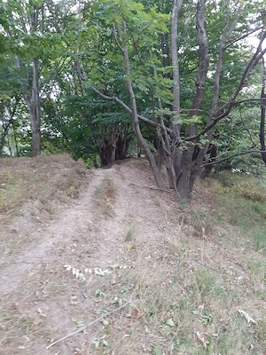 Vand teren extravilan Valea Doftanei, zona Crăițe în suprafață de 3.899 mp - imagine 4