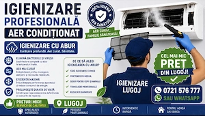 Igienizare aer condiționat 