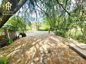Casă de Vânzare în Balint, Jud. Timiș - imagine 19