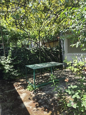 Casa verde de vanzare