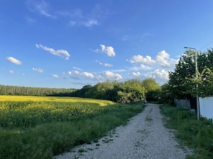 Teren intravilan langa padurea Snagov 7500mp