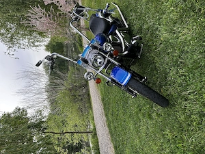 Vand Kawasaki Custom   Chicano style