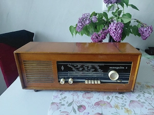 Vand radio Mangalia 2
