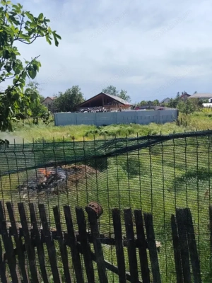 Se vinde casă în Coșoveni, Dolj – 75.000 € ușor negociabil 741 mp teren - imagine 19