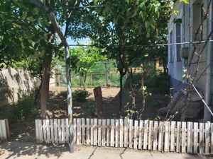 Se vinde casă în Coșoveni, Dolj – 75.000 € ușor negociabil 741 mp teren - imagine 7