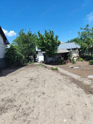 Se vinde casă în Coșoveni, Dolj – 75.000 € ușor negociabil 741 mp teren - imagine 18