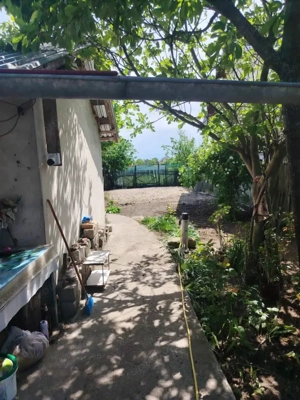 Se vinde casă în Coșoveni, Dolj – 75.000 € ușor negociabil 741 mp teren - imagine 9