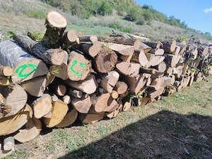 Vand lemne de foc esenta tare carpen cu stejar transport la domiciliu 