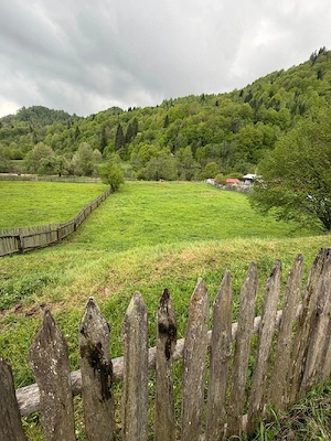 Teren de vânzare 