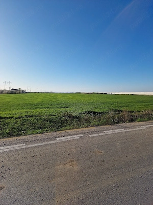 Teren 1900mpMagurele Centura Zero deschidere 24m stradală intravilan industrial toate utilitățile  - imagine 3