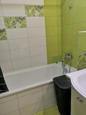 Apartament 1camera Via Romana de inchiriat - imagine 2