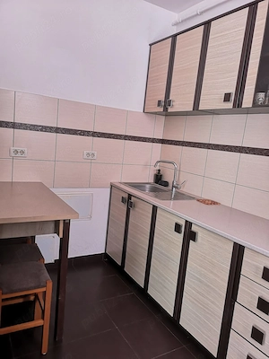 Apartament 1camera Via Romana de inchiriat - imagine 4