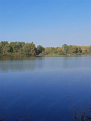 Teren și casa de vacanta cu iesire la lacul Milcov.