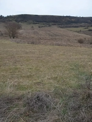Teren intravilan de vinzare