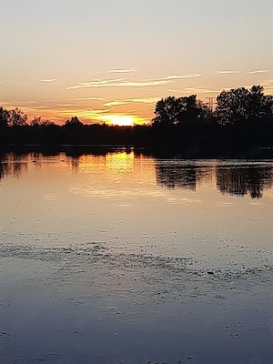 Teren și casa de vacanta cu iesire la lacul Milcov.  - imagine 3
