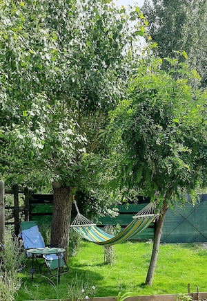 Teren și casa de vacanta cu iesire la lacul Milcov.  - imagine 5