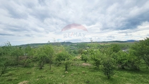 Teren 5,350mp Dobreni / Strada Manastirea Horaita - imagine 8