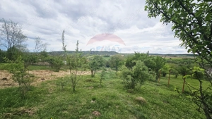 Teren 5,350mp Dobreni / Strada Manastirea Horaita - imagine 16