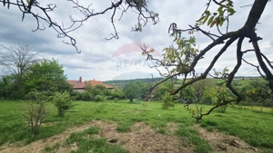 Teren 5,350mp Dobreni / Strada Manastirea Horaita - imagine 17