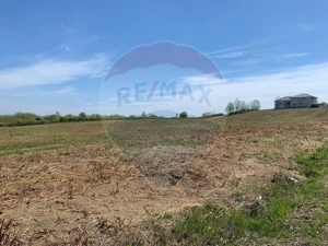 De vânzare teren intravilan 1,955mp , Paleu - imagine 4