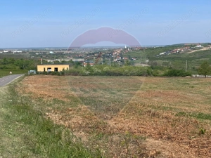 De vânzare teren intravilan 1,628mp - Paleu/Drumul DC 37 - imagine 6