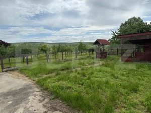 Casa pe parter+casa de oaspeti, 3000 mp teren, zona Cotofenii din Fata - imagine 19