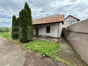 Casa pe parter+casa de oaspeti, 3000 mp teren, zona Cotofenii din Fata - imagine 15