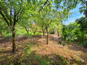 Casa individuala Iris, 770 mp teren, 110 mp utili, zona Rivus - imagine 5