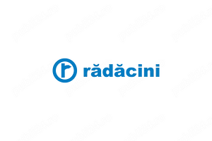 Pregatiror Vopsitor - Voluntari