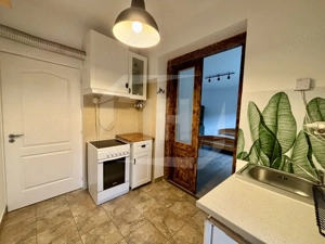 Apartament 1 camera I gradina I Gheorgheni zona Piata Cipariu - imagine 5