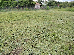 Teren intravilan de vânzare   Podul Corbencii, Corbii Mari, Dâmbovița - imagine 2