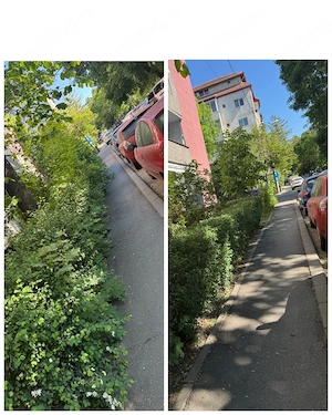 Spatii Verzi 