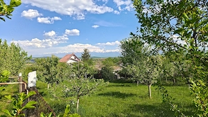 Teren intravilan 1000 mp in Sibiu Daia Noua
