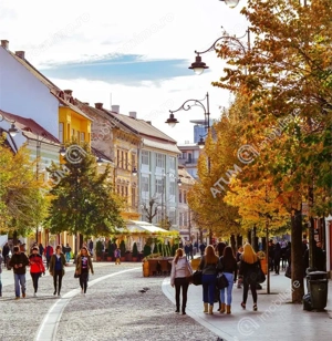 Spatiu pentru alimentatie publica si terasa zona Balcescu - imagine 4