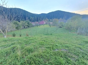 Proprietate Cracăul Negru - imagine 5